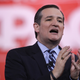 Illustration for article titled College Debate Whiz Ted Cruz Has Some Neat Ideas About Regrowable Hymens